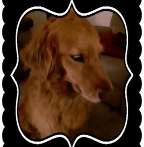 Meet your Posher, Deanna